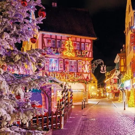 L'ecrin De Berthe Molly Lägenhet Colmar