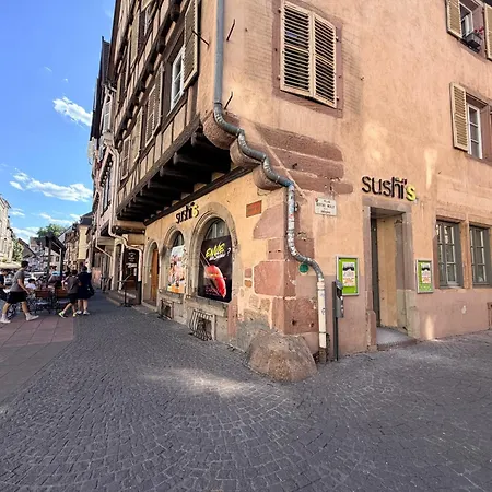 L'ecrin De Berthe Molly Lägenhet Colmar